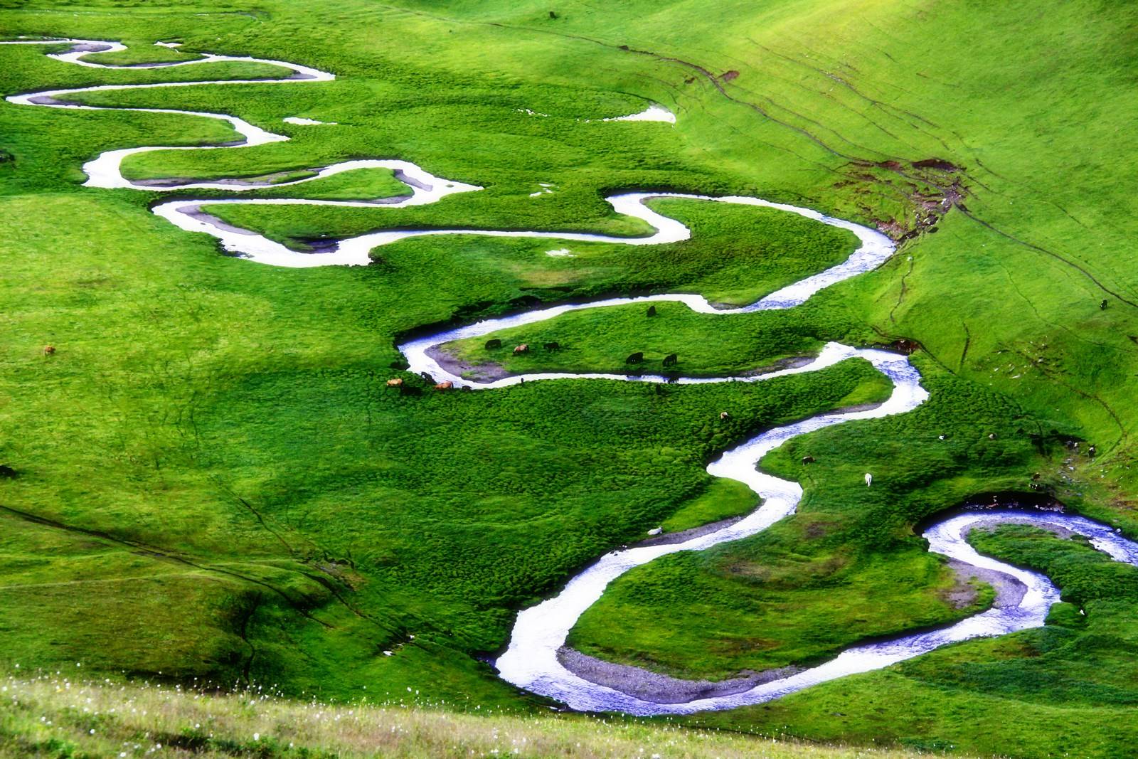 马赛力克那不勒斯，卡塞米罗统治全场