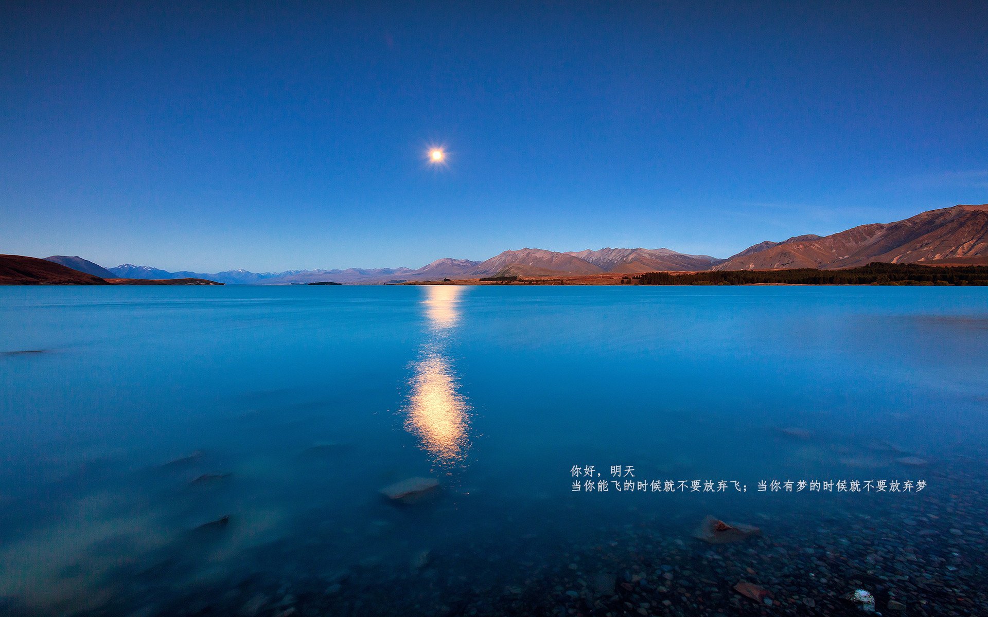 津门虎啸五棵松，当利拉德时刻降临CBA