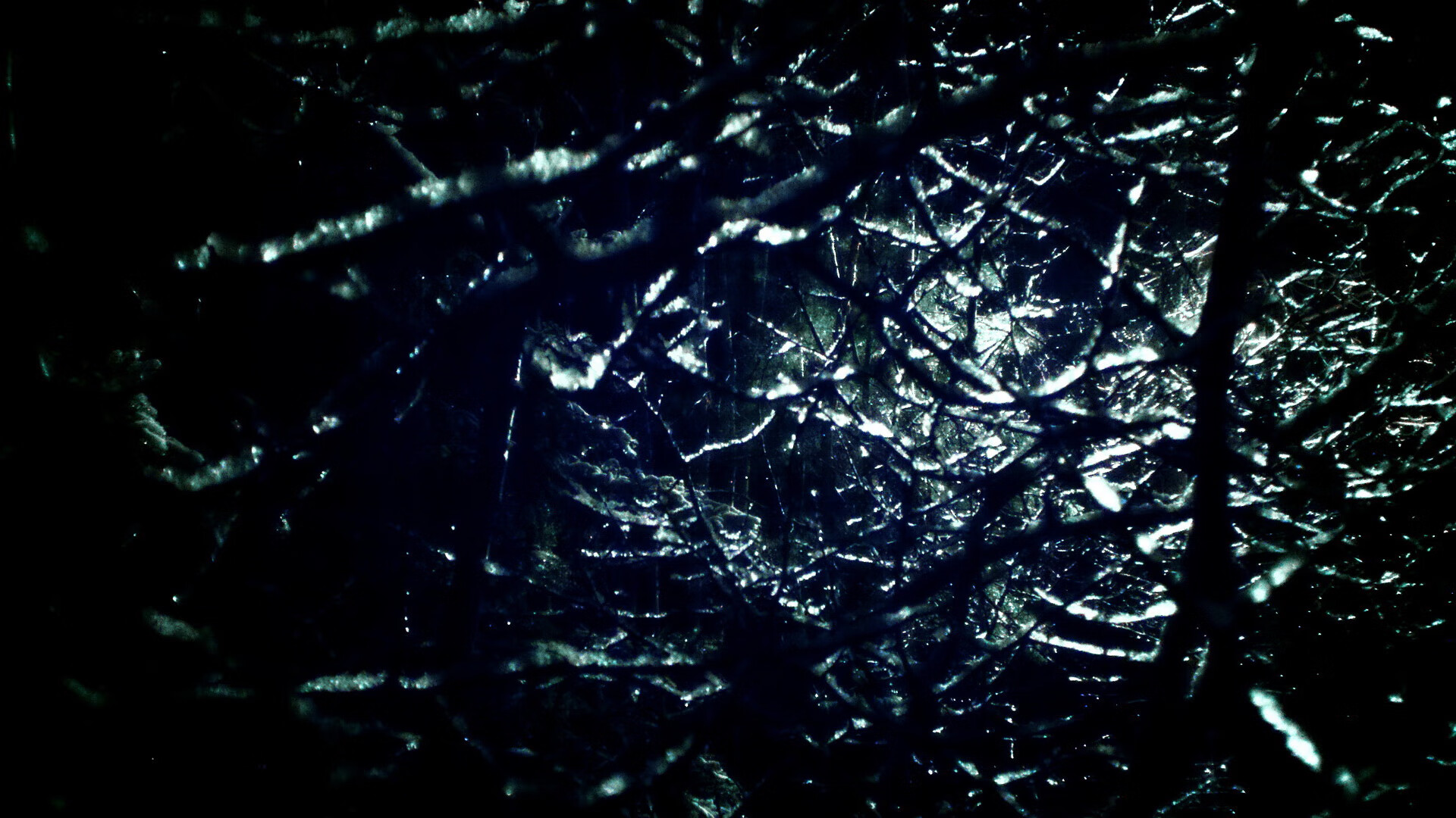 范弗利特的平行回响,当芝加哥公牛绝杀北京队