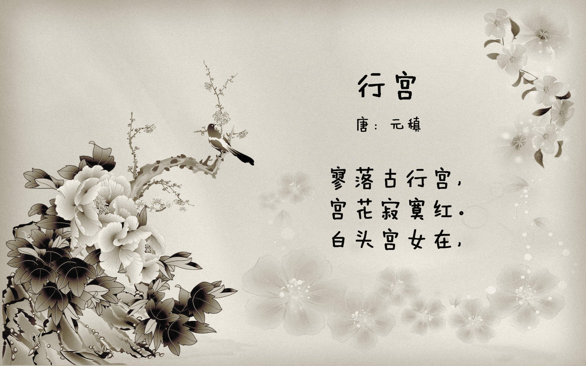 跨界火力全开，米切尔成独行侠对阵广厦的X因素