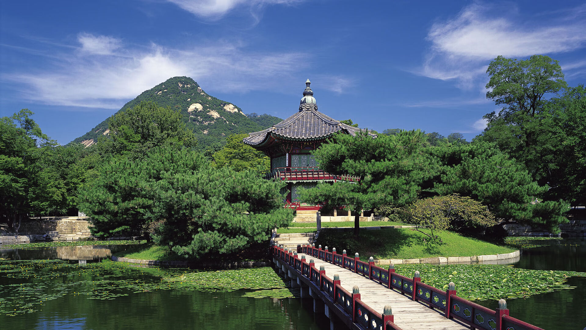 三分狂潮淹没深圳！新疆队焦点战展现恐怖压制力