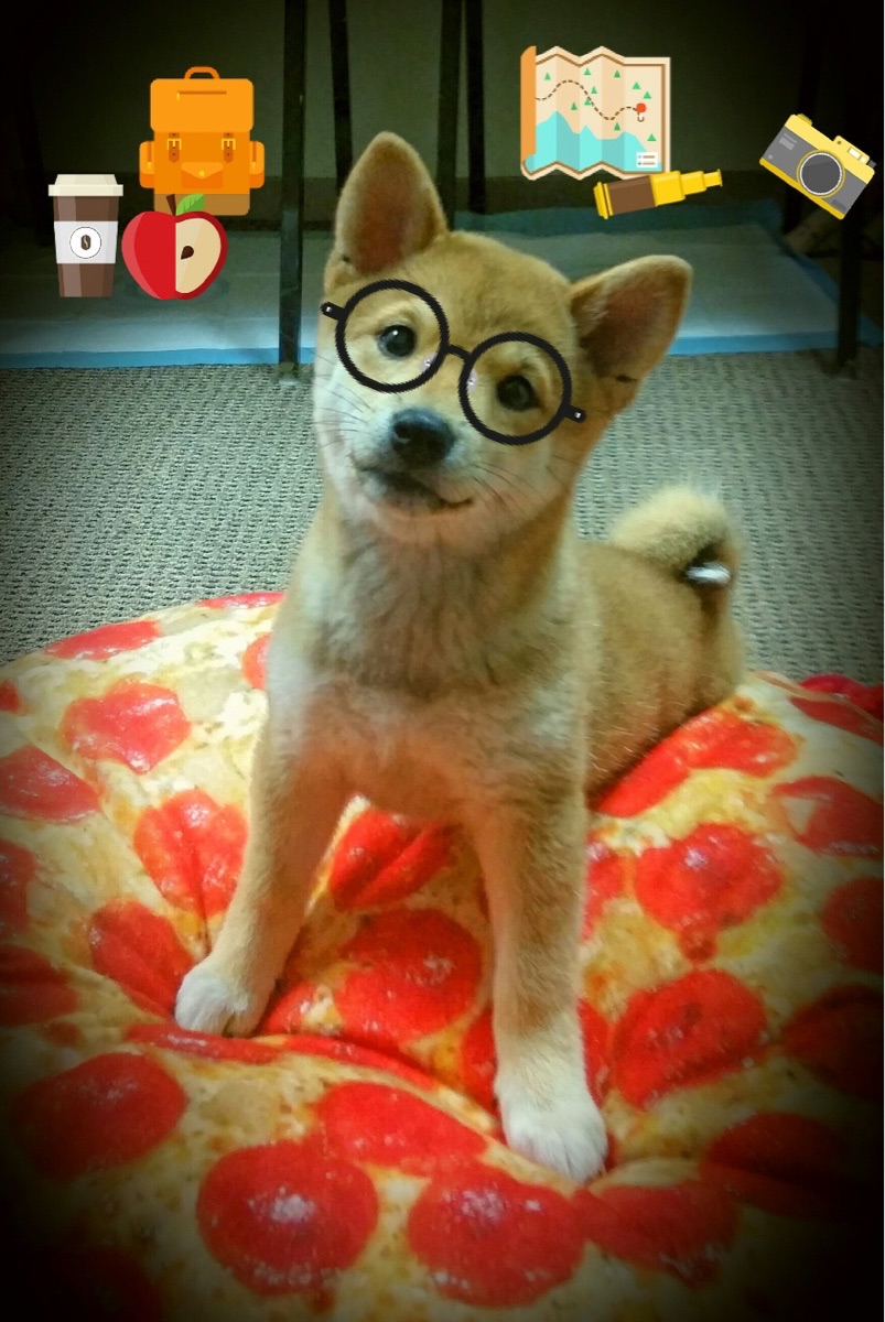 骑士对吉林，赛场上的F1焦点战