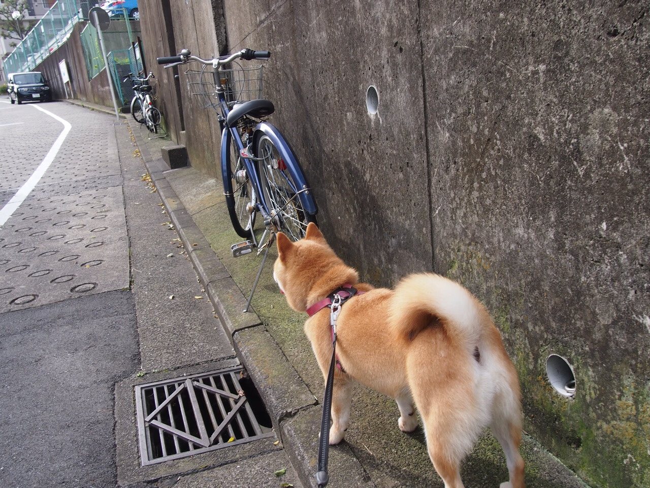 当红龙飞越诺坎普,一个关于渺小与伟大的双重史诗
