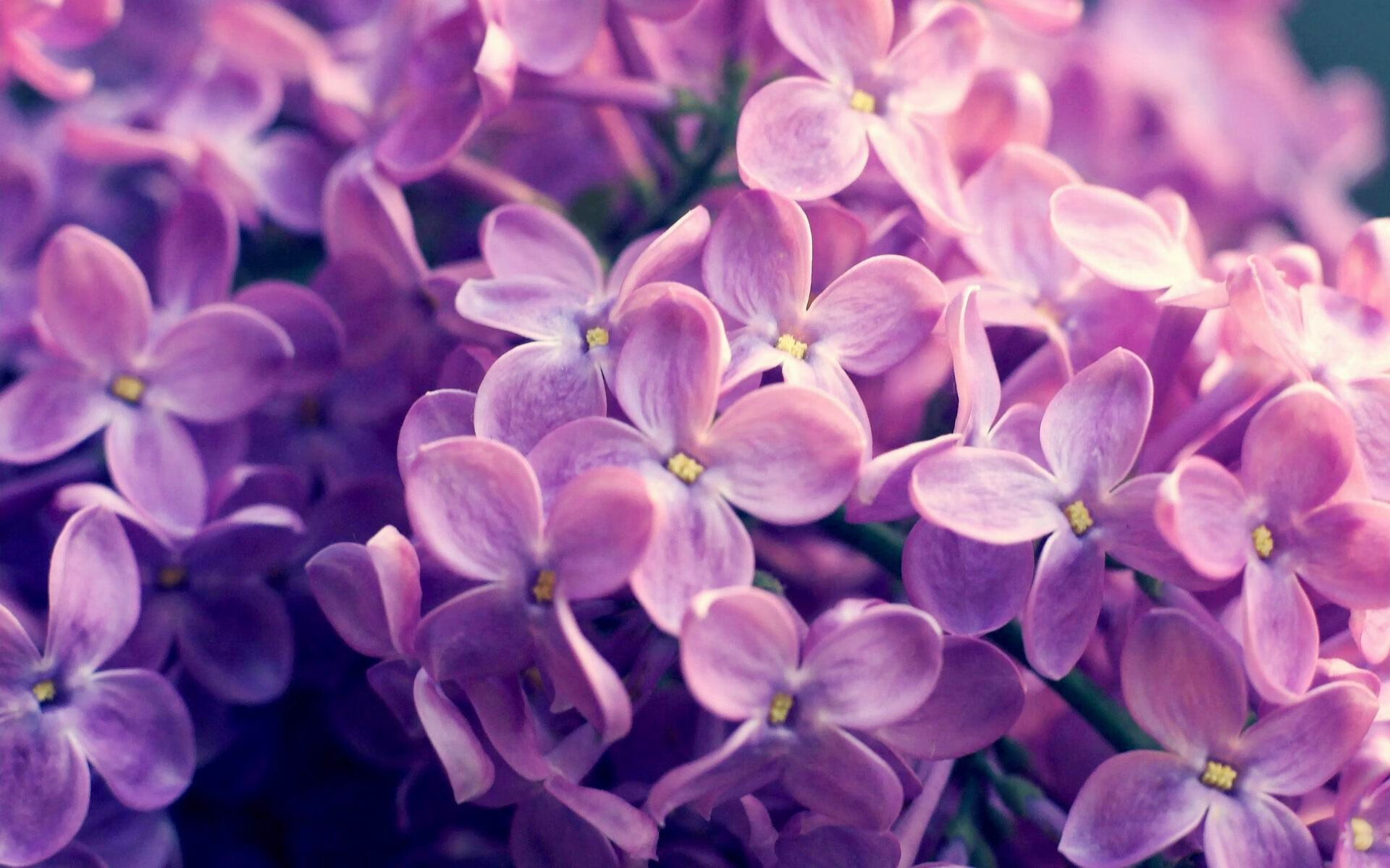 亚洲风暴席卷麦迪逊，浙江队用东方智慧压制尼克斯，詹姆斯扮演破局者