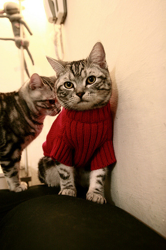 唯一绝杀！沙特首次加时取胜芬兰，阿坎吉一球封神成关键先生