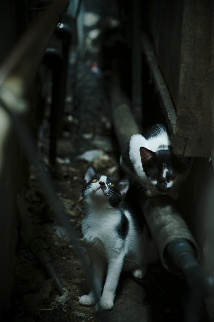 完美凯恩与伊拉克勇士，揭秘皇马被击穿的传奇之战