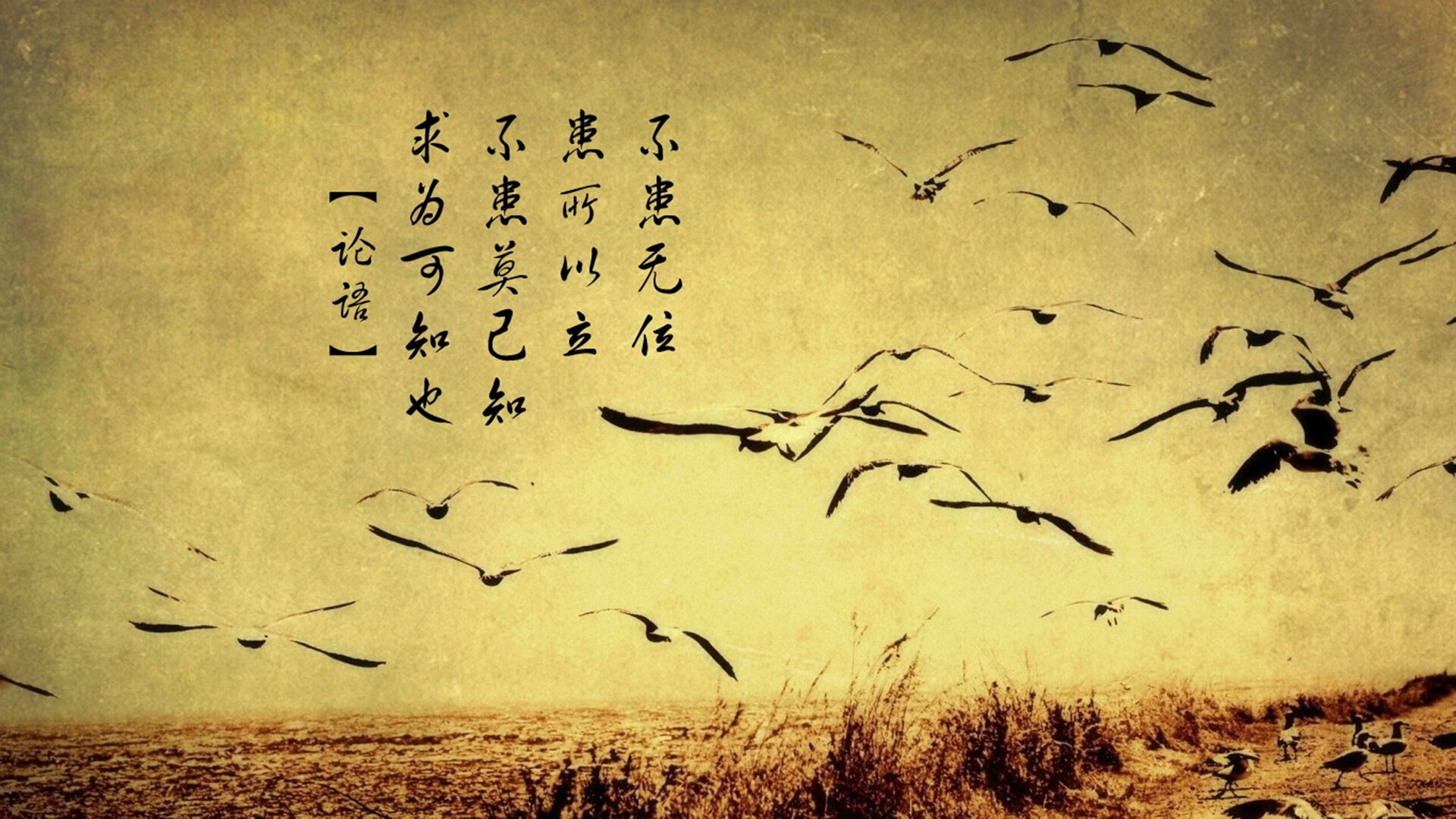 绿茵孤星，当魔笛奏响命运的唯一性—记美加墨世界杯焦点战，乌拉圭险胜英格兰，莫德里奇独耀苍穹